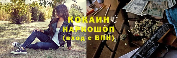 дурь Алексин