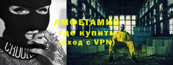 гашик Дмитров