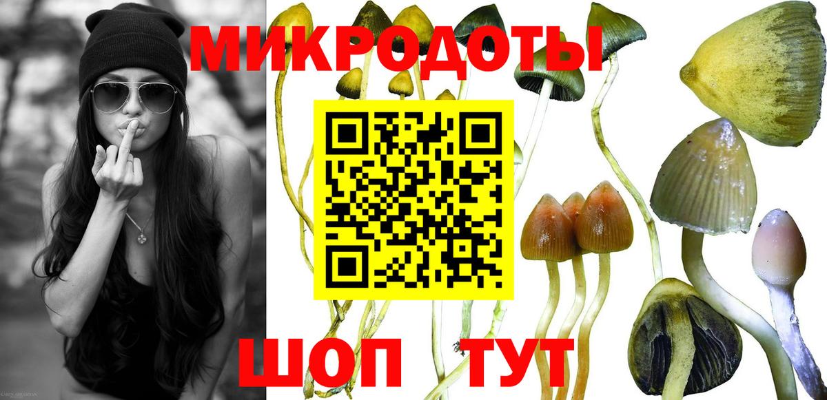Фролово  Псилоцибиновые грибы мухоморы  Вход с VPN 