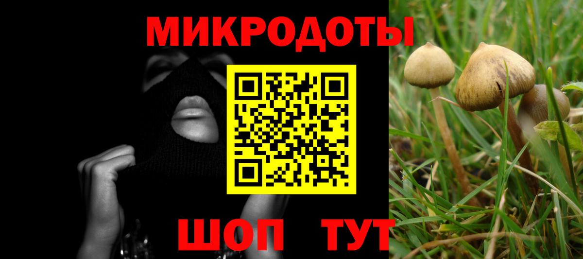 Галлюциногенные грибы Psilocybe Фролово